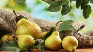 صورة ما هي فوائد الكمثرى الغذائية