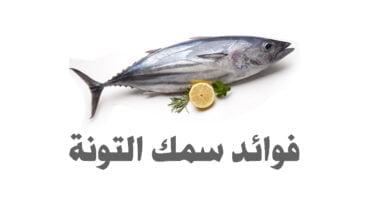 صورة ما هي فوائد سمك التونة ؟