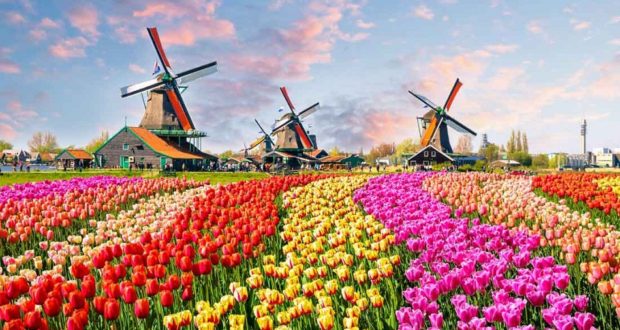 ريف هولندا الجمال الحقيقي