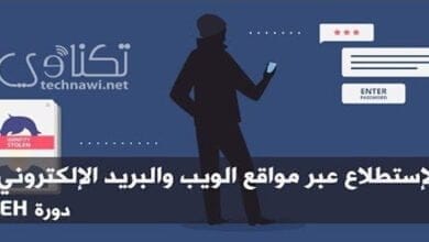 صورة الاستطلاع عبر مواقع الويب والبريد الإلكتروني