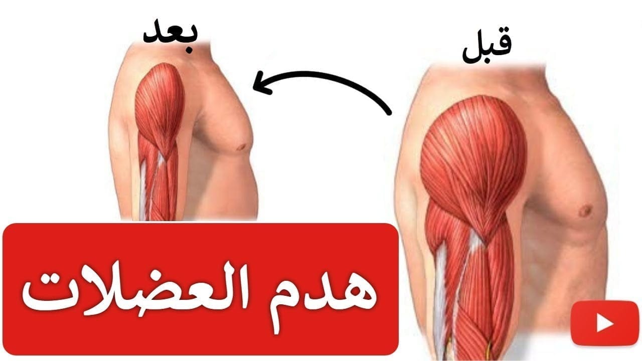 بناء العضلات ومنع الترهل