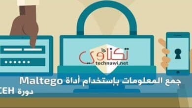 صورة جمع المعلومات باستخدام أداة Maltego
