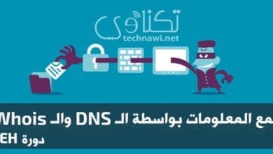 صورة جمع المعلومات بواسطة Whois وال DNS