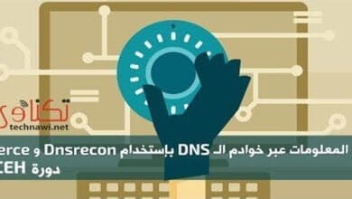 صورة جمع المعلومات عبر خوادم DNS باستخدام أداة fierce و Dnsrecon