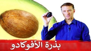 صورة ماذا يحدث لو تناولت بذرة الأفوكادو ؟