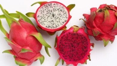 صورة نجاح زراعة الدراجون فروت في مصر