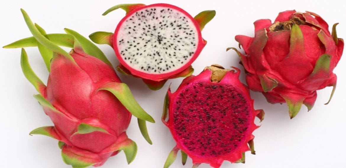 نجاح زراعة الدراجون فروت في مصر