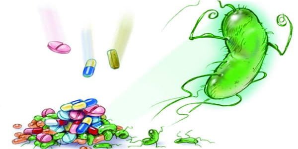 المضادات الحيوية والبكتيريا