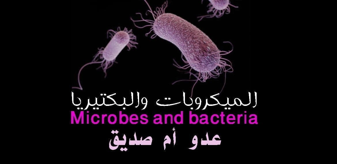 البكتيريا والميكروبات Microbes عدو أم صديق ؟