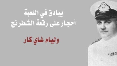 صورة أحجار على رقعة الشطرنج PDF