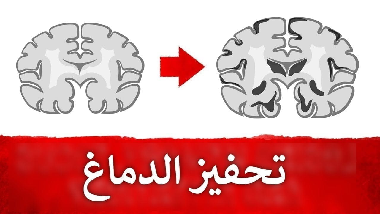 تعرف على الأطعمة التي تفيد الدماغ