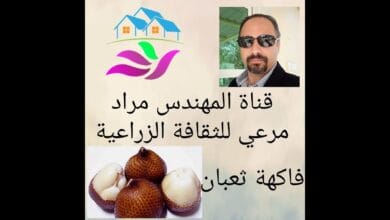 صورة فاكهة الثعبان كيفية زراعتها في الوطن العربي