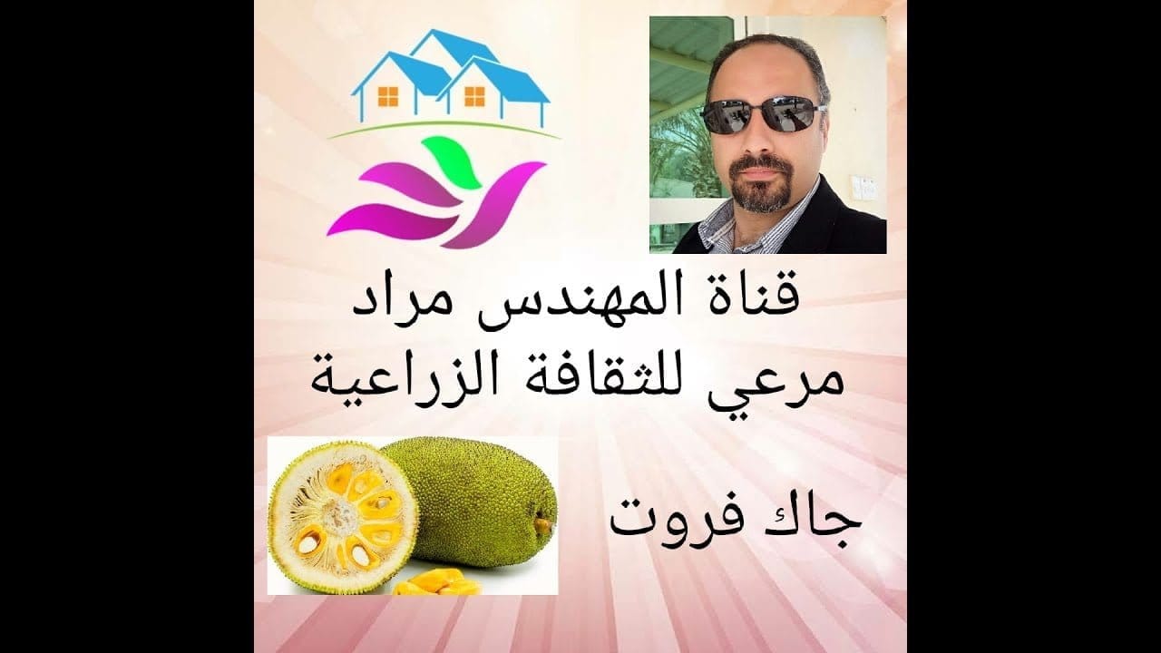 فاكهة الجاك فروت وكيفية زراعتها في الوطن العربي