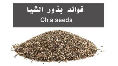 صورة فوائد بذور الشيا Chia seeds