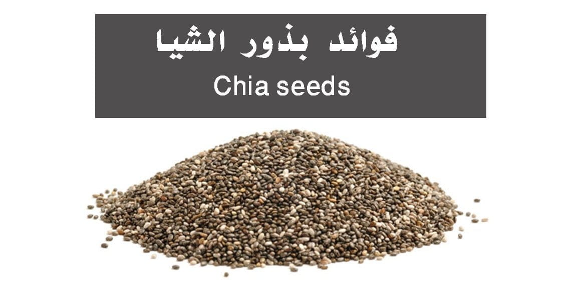 فوائد بذور الشيا Chia seeds