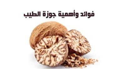 صورة فوائد وأهمية جوزة الطيب