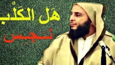 صورة هل الكلب نجس أم طاهر؟