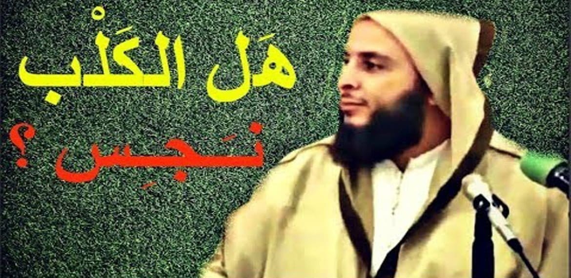 هل الكلب نجس أم طاهر؟