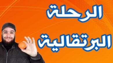 صورة أصل كلمة البرتقال وعلاقتها بدولة البرتغال