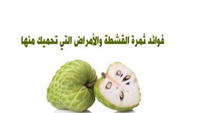 صورة فوائد ثمرة القشطة والأمراض التي تحميك منها
