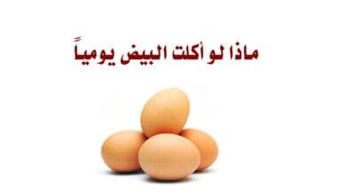 صورة ماذا لو أكلت البيض يومياً