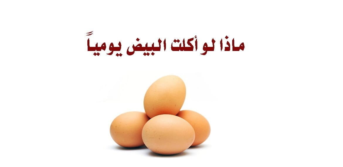 ماذا لو أكلت البيض يومياً