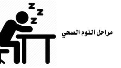 صورة مراحل النوم الصحي Sleep Cycle