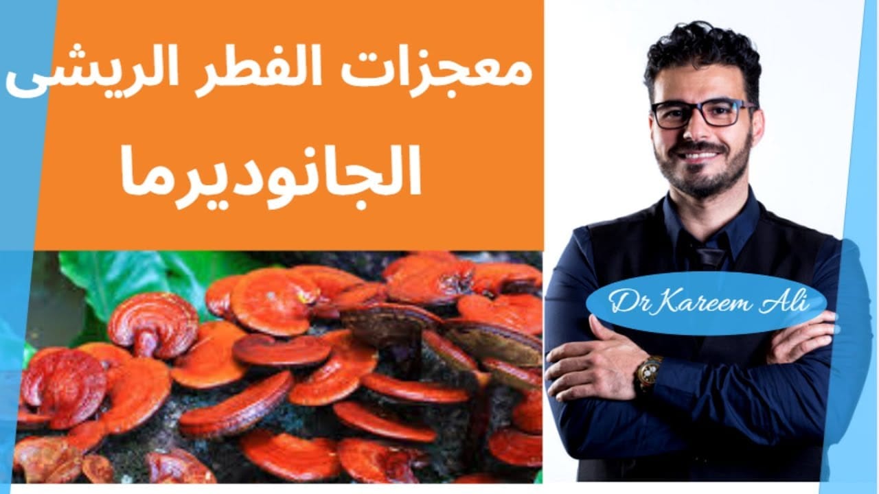 الفطر الريشي Reishi Mushroom فوائده