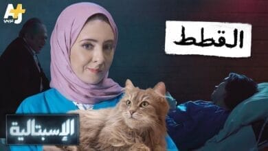 صورة القطط والبشر علاقة لها جانب مظلم