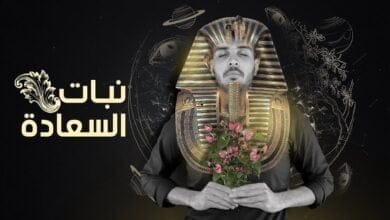 صورة المورفين نبات السعادة الفرعوني