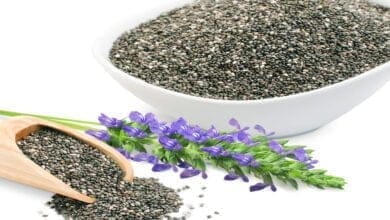 صورة ما هي خصائص بذور الشيا ؟