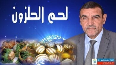 صورة هل تعلم أن لحم الحلزون مفيد مثل السمك؟