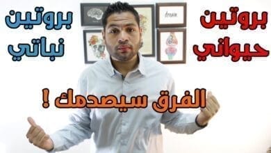 صورة البروتين الحيواني والبروتين النباتي