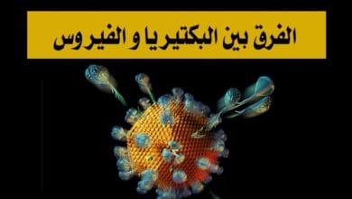 صورة البكتيريا و الفيروس ما الفرق بينهما ؟
