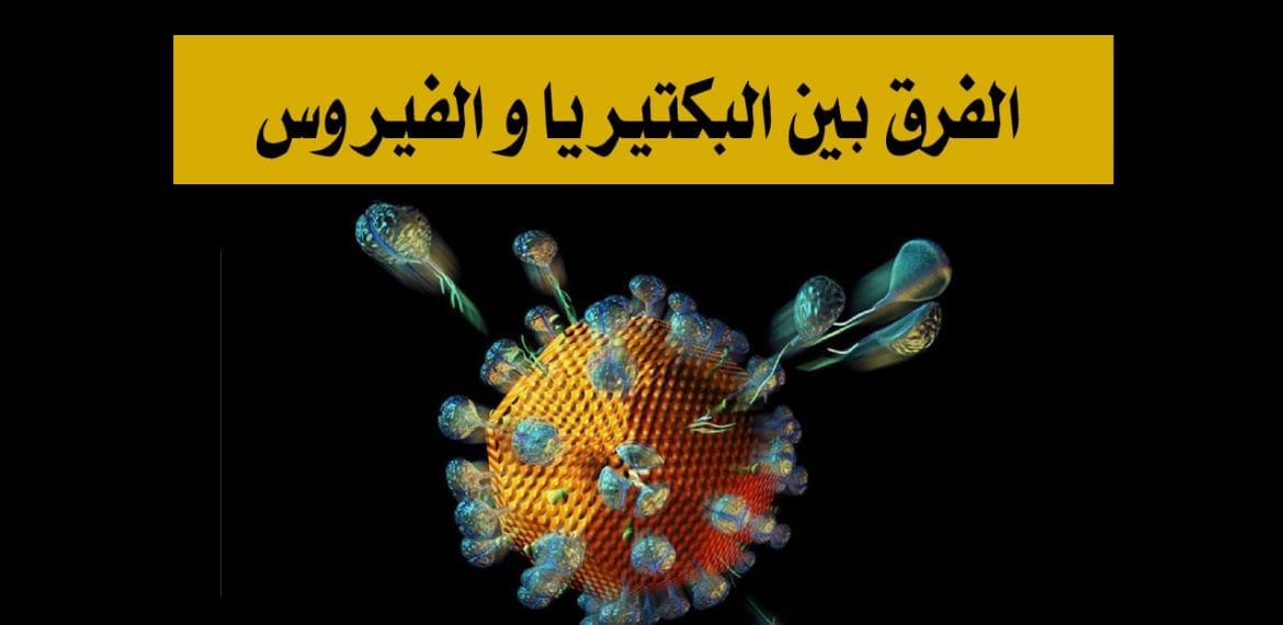 البكتيريا و الفيروس ما الفرق بينهما ؟