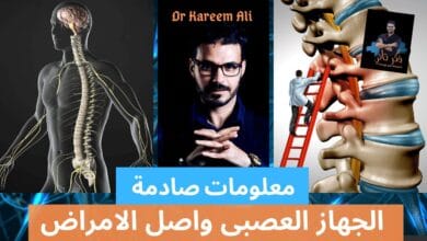 صورة الجهاز العصبي وسر الشفاء من الأمراض