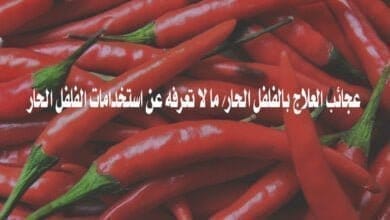 صورة الفلفل الحار و عجائب العلاج به
