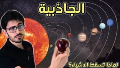 صورة النسبية العامة و الجاذبية – حينما سقطت التفاحة