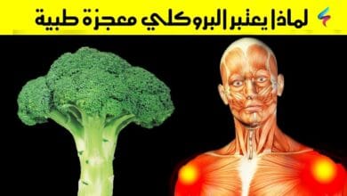 صورة تعرف على فوائد البروكلي المدهشة