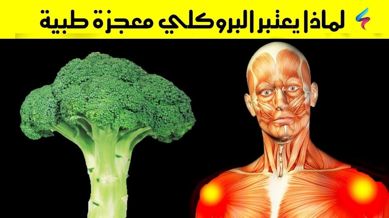 تعرف على فوائد البروكلي المدهشة