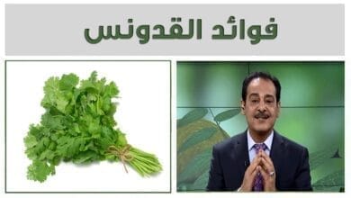 صورة فوائد البقدونس الرائعة والمدهشة