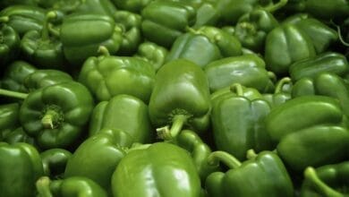 صورة فوائد الفلفل الأخضر