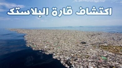 صورة قارة النفايات البلاستيكية القارة الثامنة