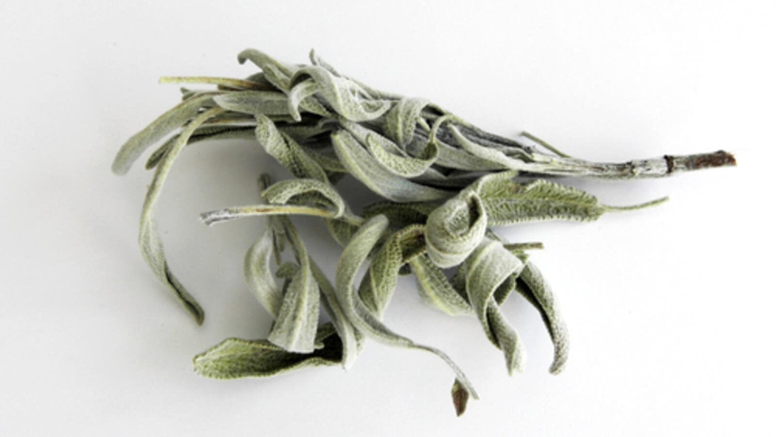 الفائدة السحرية في عشبة الميرمية