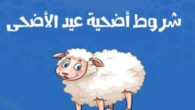 صورة حكم الأضحية وشروط قبولها في عيد الأضحى