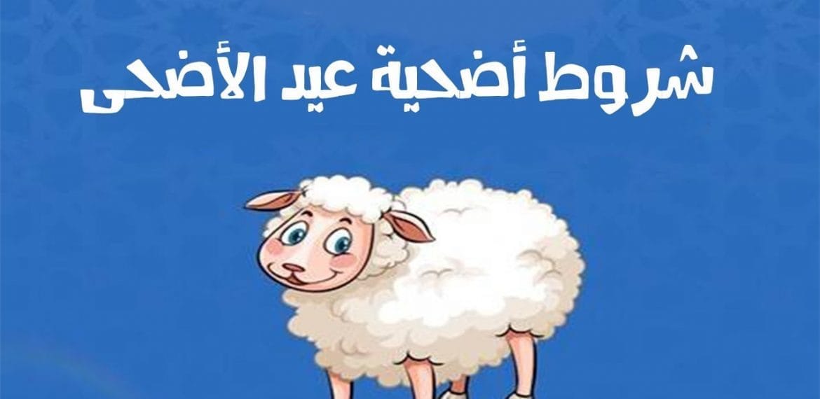 حكم الأضحية وشروط قبولها في عيد الأضحى