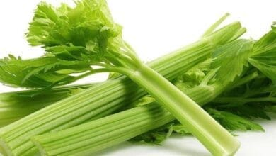 صورة فوائد الكرفس ومعلومات عنه