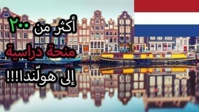 صورة كيفية أحصل على منحة دراسة في هولندا