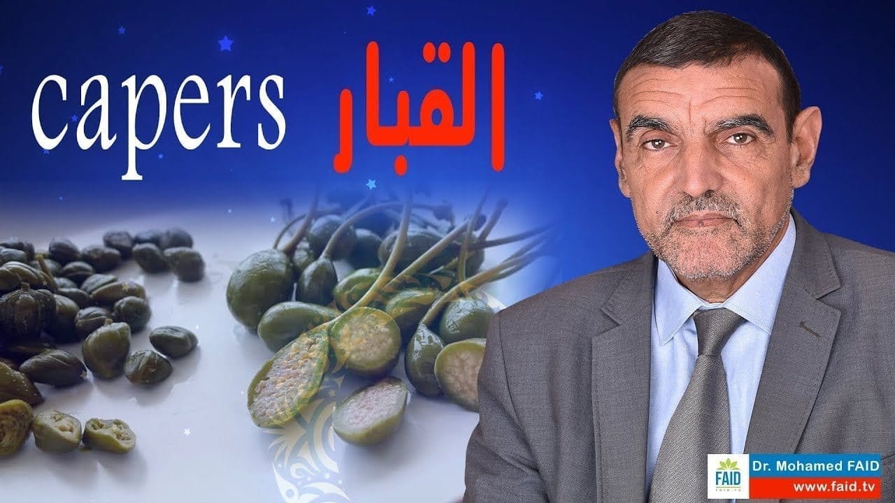 ما هي فوائد القبار