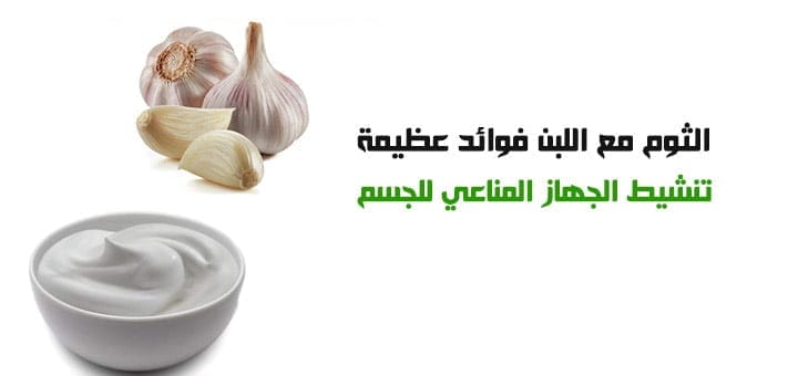الثوم مع اللبن فوائد عظيمة